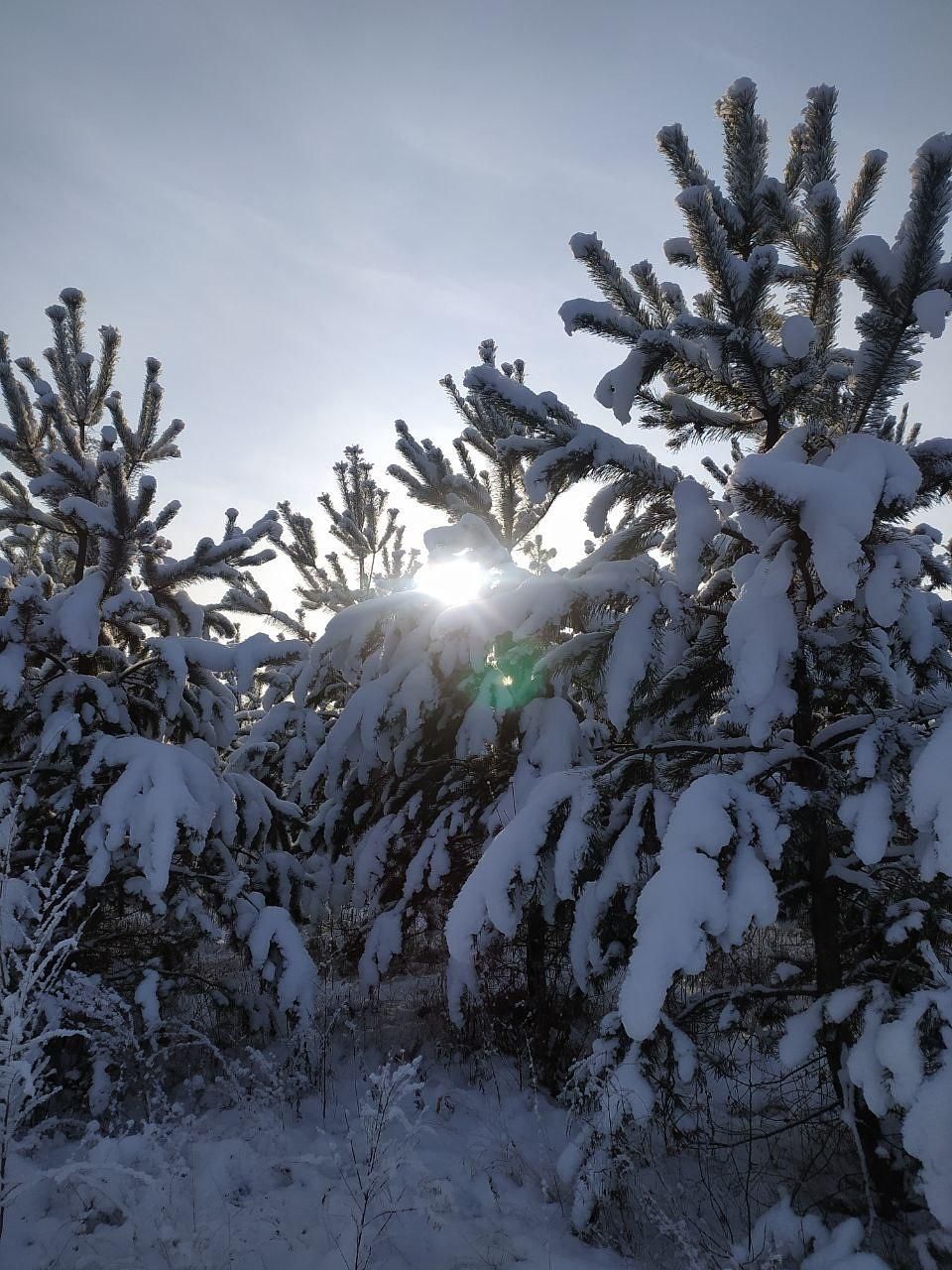 Зима в солнечной Хакасии
