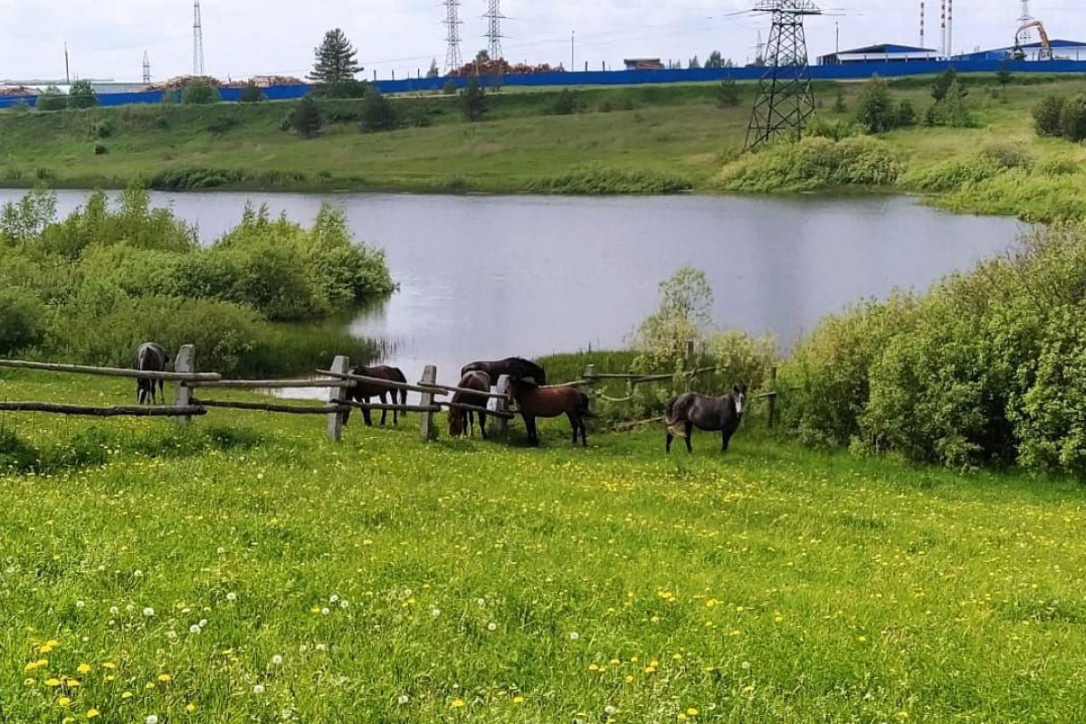 Верхом по землям древнего Галича