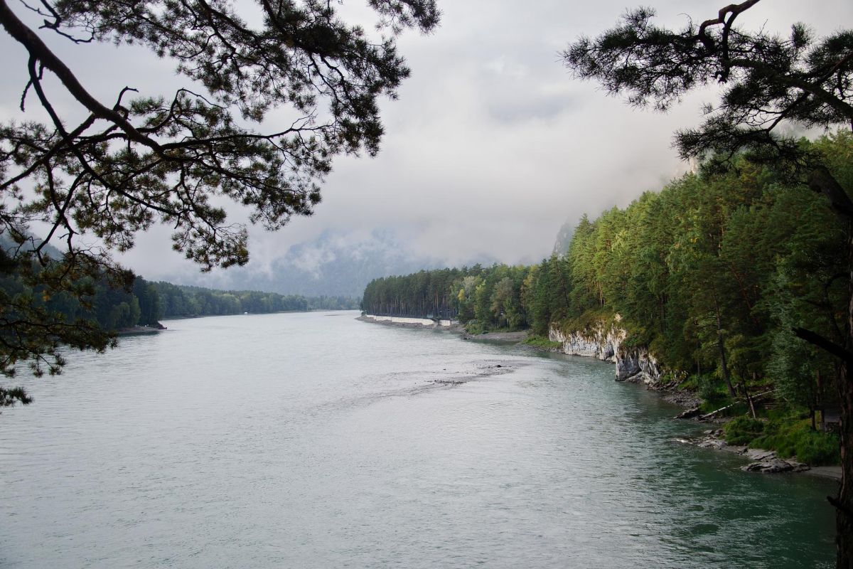 Алтай КОМБИ