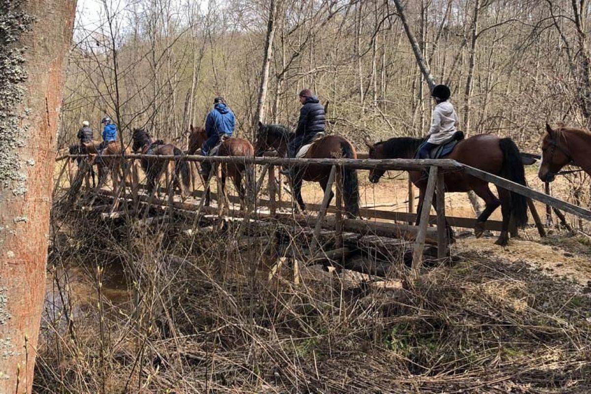 Верхом по землям древнего Галича