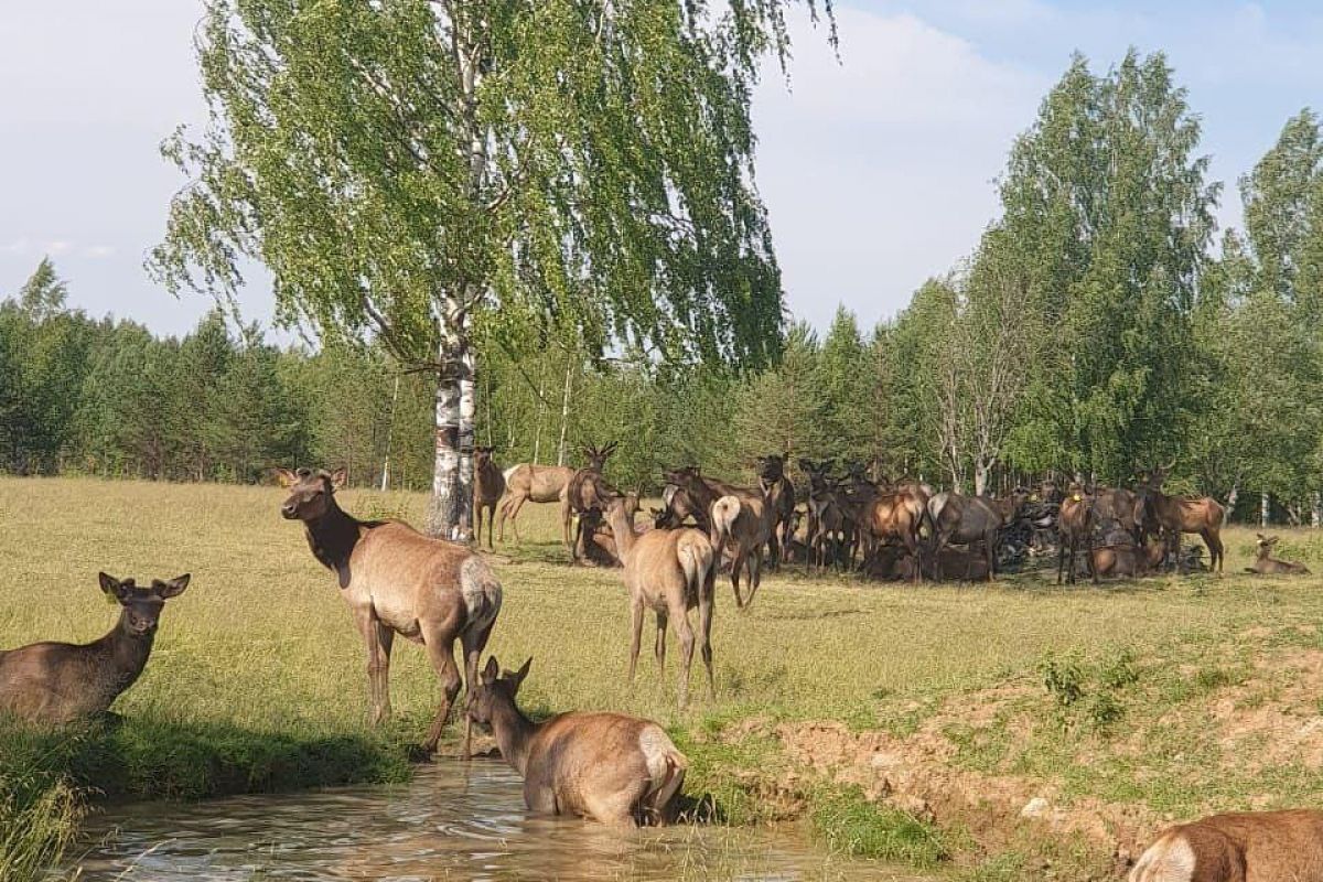Верхом по землям древнего Галича