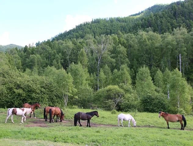 Школьный тур по Хакасии и Красноярскому краю (5 дней/4 ночи)